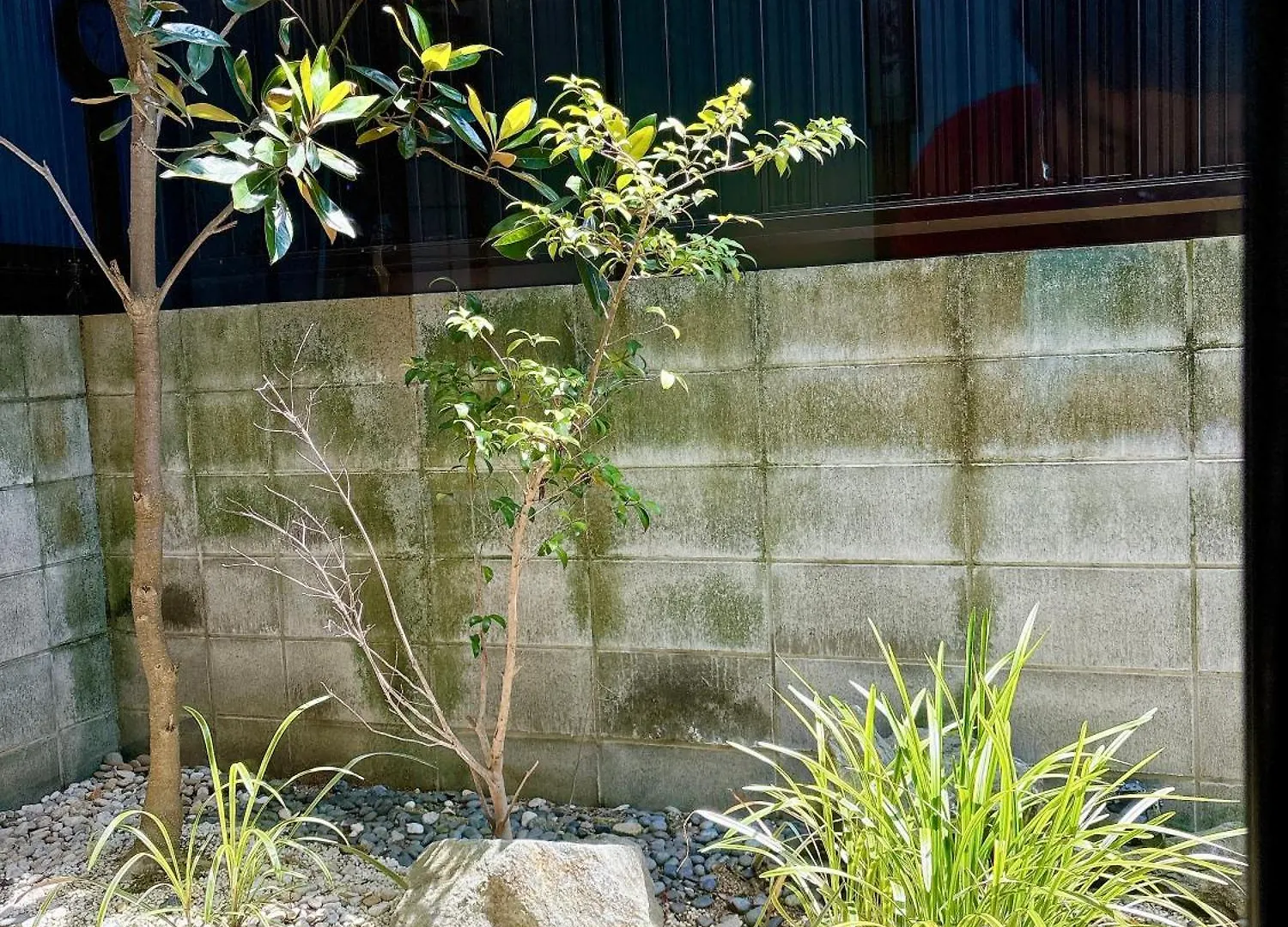 Tofukuji Saku Inn（东福寺咲く宿） Kyoto Japon