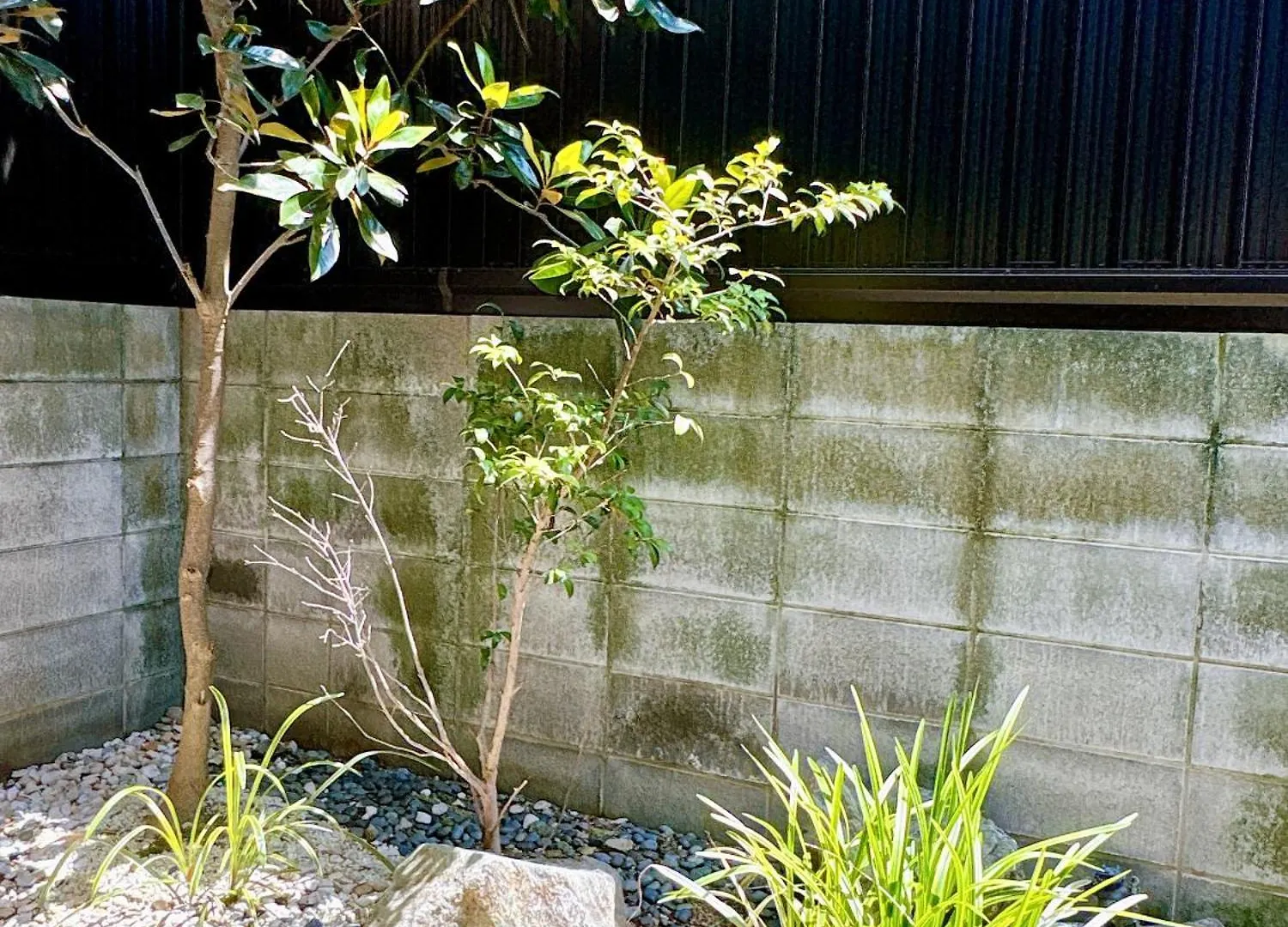 Tofukuji Saku Inn（东福寺咲く宿） Kyoto Hébergement de vacances